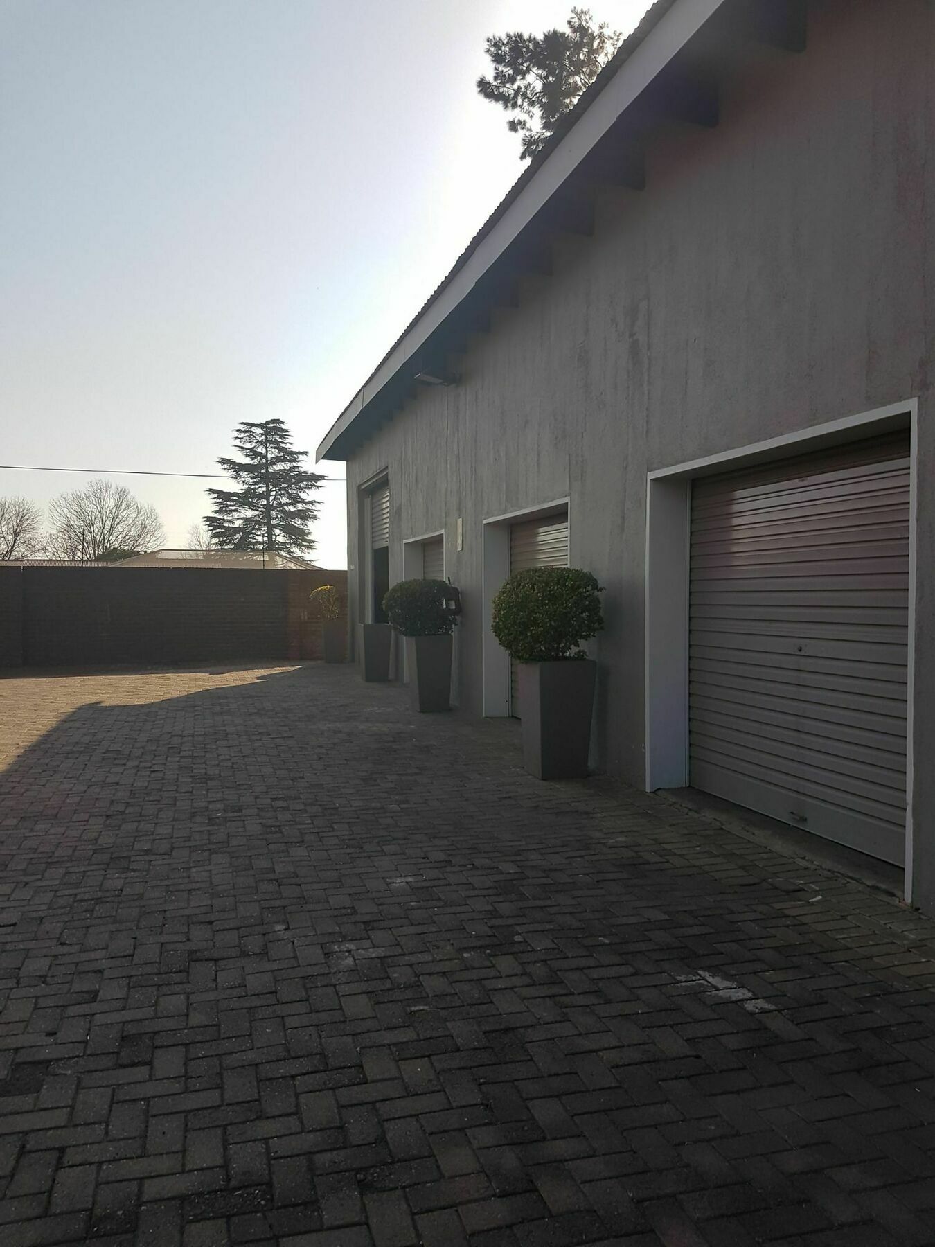 Blue Sparrow Guest House Middelburg  Exterior foto
